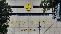 Lucky Plaza (D9), Shop House #525636611